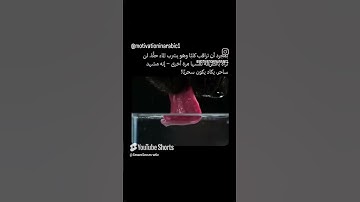 #اكسبلور #قران كريم #funny #المصحف #animals #ضحك #تيك توك #duet #kpop #blackpink 2