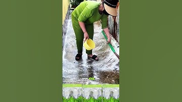 Bột Tẩy Rong Rêu #giadungtienich #huuichvatietkiem