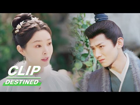 Gu Jiusi Eavesdrops on Liu Yuru's Chat | Destined EP01 | 长风渡 | iQIYI