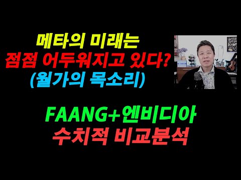 유아이 패스 주가 New 2022 메타의 미래는 점점 어두워지고 있다? / FAANG+엔비디아 수치적 비교분석 #메타주식전망
