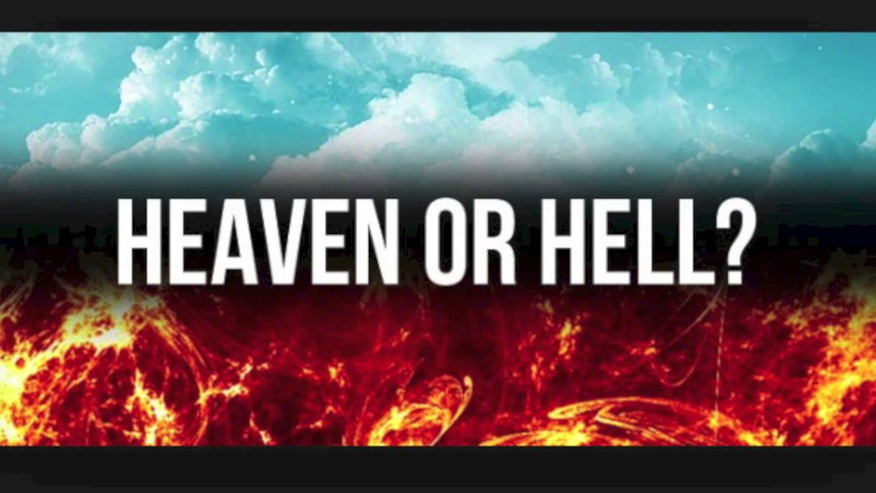 Guarda ACE $TACK$ HEAVEN OR HELL su YouTube Guarda ACE $TACK$ HEAVEN OR HELL su YouTube