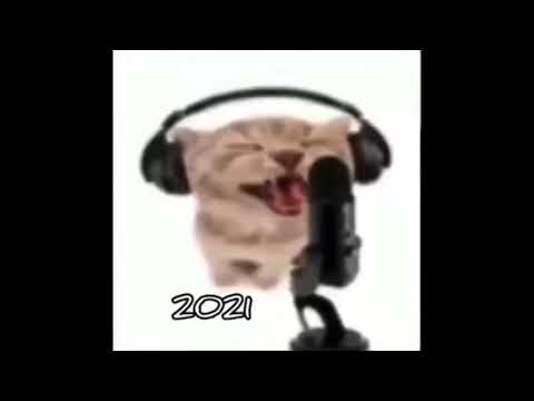 Cat Rap Evolution meme but its just a full version of 2021