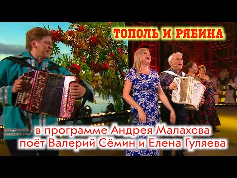 ХИТ "Тополь и рябина" в программе "Привет, Андрей!" поют Валерий Сёмин и Елена Гуляева. ОГОНЬ!!!"❤️