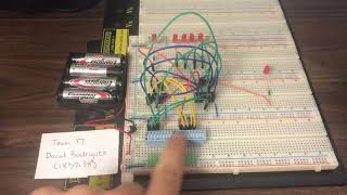 Team 17 - David Rodriguez - 4 bit Calculator with Full Adder Chip