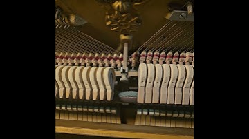 Sustain pedal, then middle pedal.