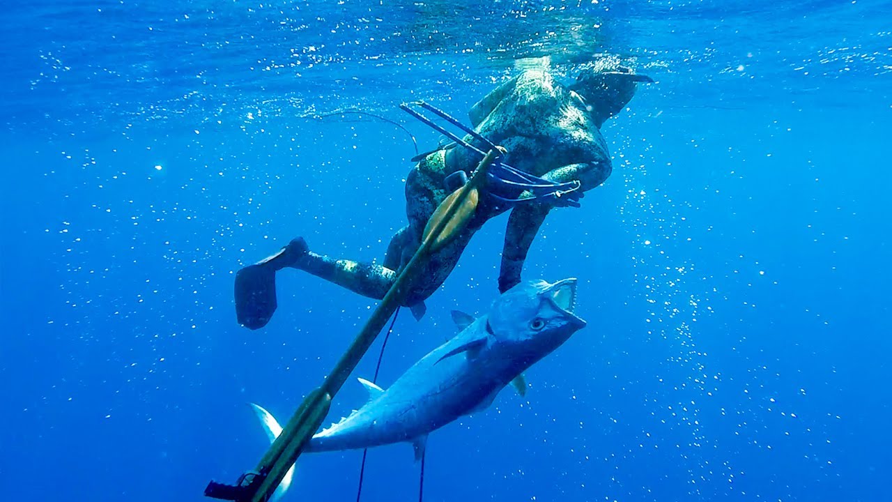 Great White Shark Halts All-time Spearfishing Session! From Hunting to Hunted Day 1