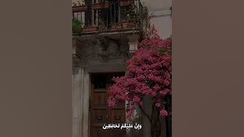 قراءة القرآن الكريم من القارئ أحمد الذيابي