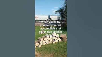 dead ash trees another tree removal #logging  #treeremoval