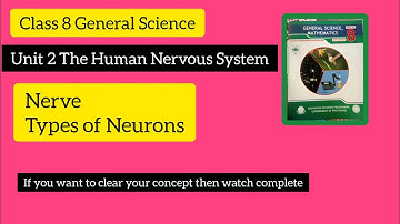 Class 8 new science book chapter 2 part 1 || Human Nervous System || Class 8 new science book 2023