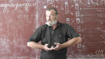 75 Повторение: темновая и световая фазы. Лейкопласты