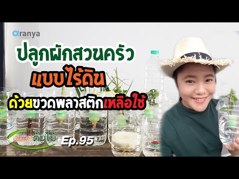 ปลูกผักสวนครัวแบบไร้ดินด้วยขวดพลาสติกเหลือใช้ ตอนที่2