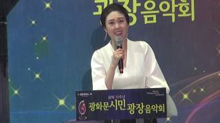 브람스, 교향곡 제1번 4악장, 광복 72주년 광화문시민광장음악회 20170815