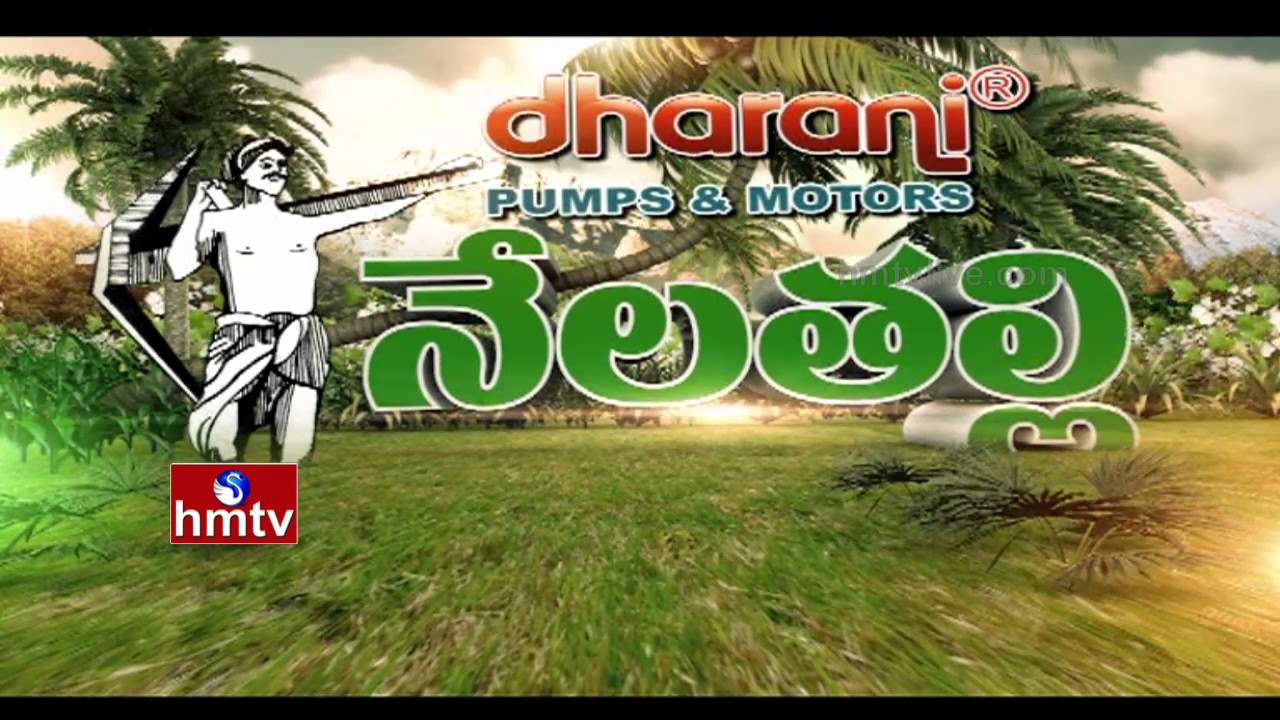 Nela Talli - Episode 103 | Pulses Year 2016-UNO | Red Rice Crop | Banana Tissue Culture | HMTV