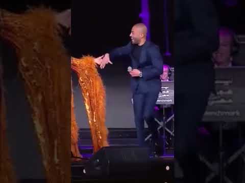 لوحة باهتة دويتو بين تامر عاشور وانغام