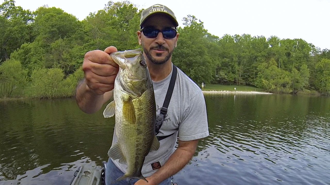 Bass Fishing Tips Techniques Super Shallow Drop Shot Youtube within Bass Fishing Tips Drop Shot Bass Fishing Tips Techniques Super Shallow Drop Shot Youtube within Bass Fishing Tips Drop Shot