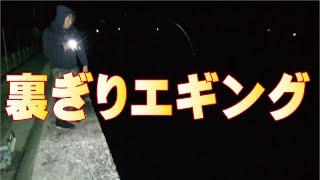 裏ぎりエギングでアオリイカをパカパカ釣りあげる！