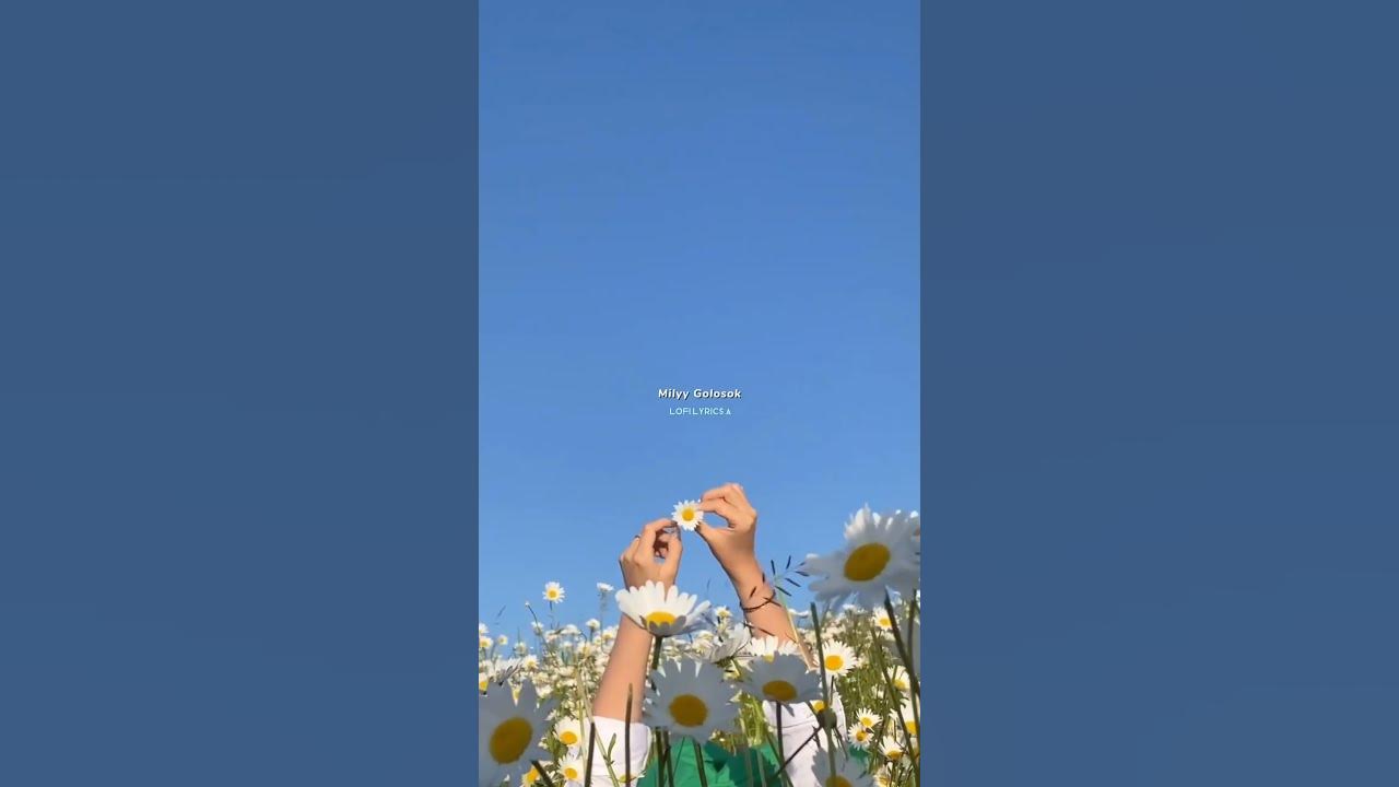 Kamin(Камин) -Emin and JONY |lyrics ||slowed |speed up |whatsappstatus |#tiktok