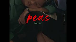 peas - boylife (Thaisub) แปลเพลง
