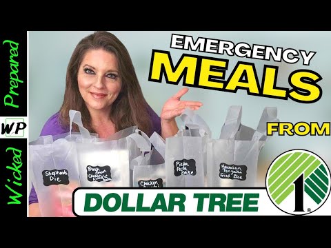 Add these meals to your Prepper Pantry - Dollar Tree Challenge! Survive SHTF | Prepare on a Budget