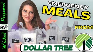 Add these meals to your Prepper Pantry  Dollar Tree Challenge! Survive SHTF | Prepare on a Budget