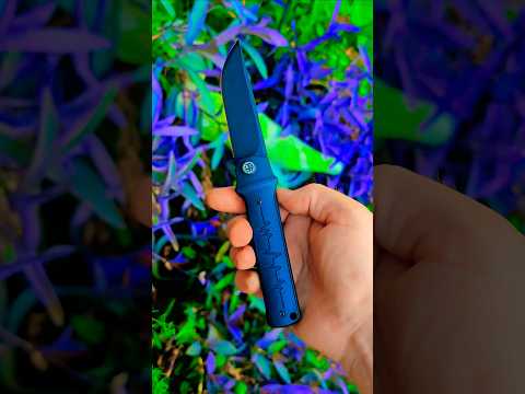 The Petrified Fish Tena Is An Excellent Budget Front Flipper   