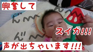 【赤ちゃんのうなり声】歯固めで興奮して声がいつも出ちゃいます‪w聞いてみて下さい‪w【歯固め】【⠀子どものいる暮らし】Excitement with tooth tightening ⠀