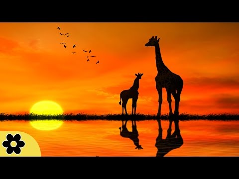 Meditation Music Relax Mind Body, Positive Energy Music, Relaxing Music, Slow Music, ✿2238C