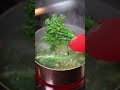 The best way to cook Broccolini