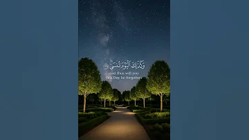 ومن اعرض عن ذكري فإن له معيشة ضنطى وديع اليمني القران الكريم 