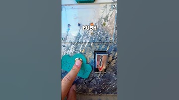 Can you believe what I found inside of this Geocache?! Would you be able to open this gadget cache?