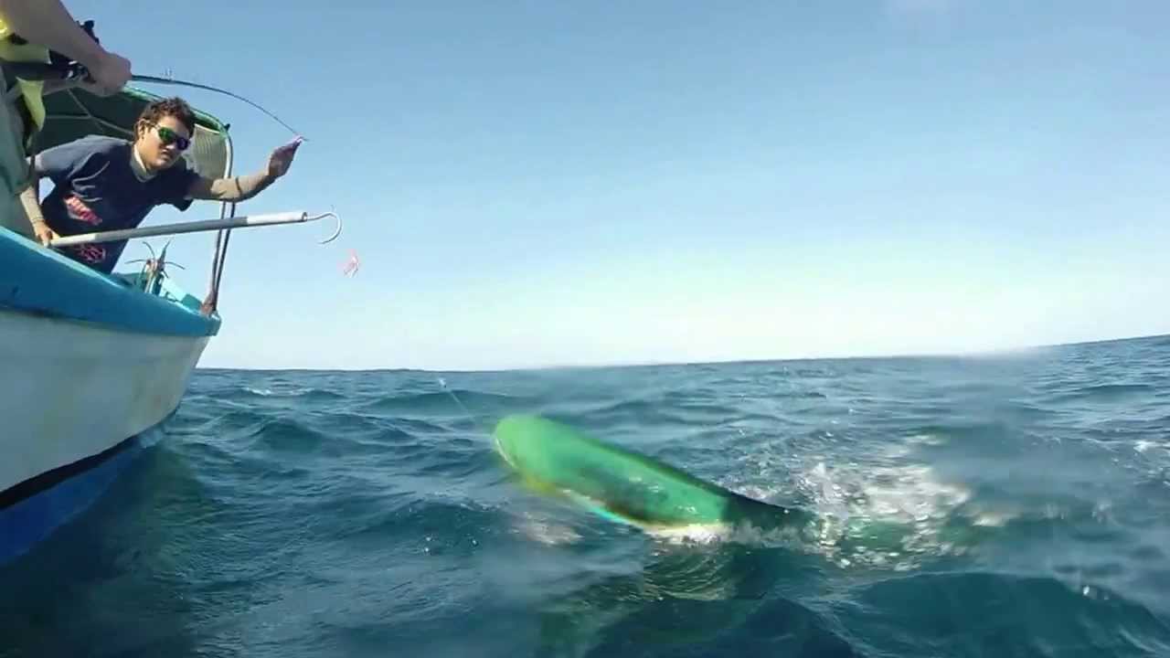 Mahi Mahi Fishing Tamarindo Costa Rica GoPro Hero3+ YouTube