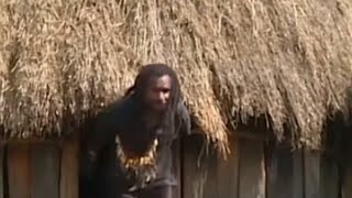 Traditional House of the Indigenous People highland Papua tribe