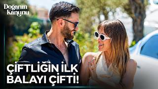 Bu Çiftin Enerjisi Bambaşka - Doğanın Kanunu 11. 