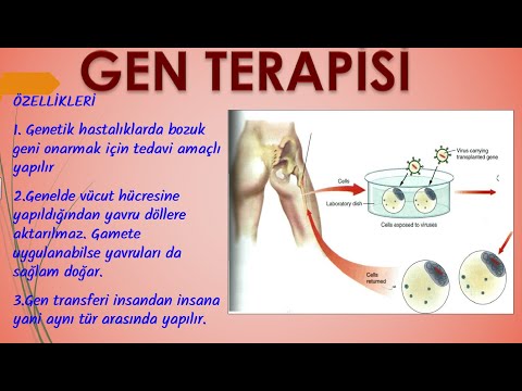 Video: Gen terapisi bir gün genetik bozuklukları tedavi etmek için nasıl kullanılabilir?