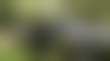 Redneck Repo - This Went South Pretty Quick!