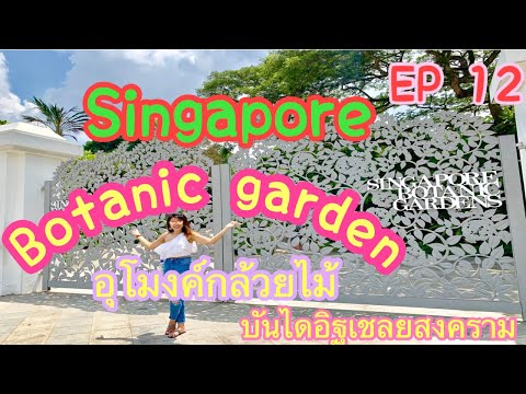 EP. 12 พาเที่ยวสวนพฤษศาสตร์สิงคโปร์ #SingaporeBotanicGardens อุโมงค์กล้วยไม้กลางเมือง