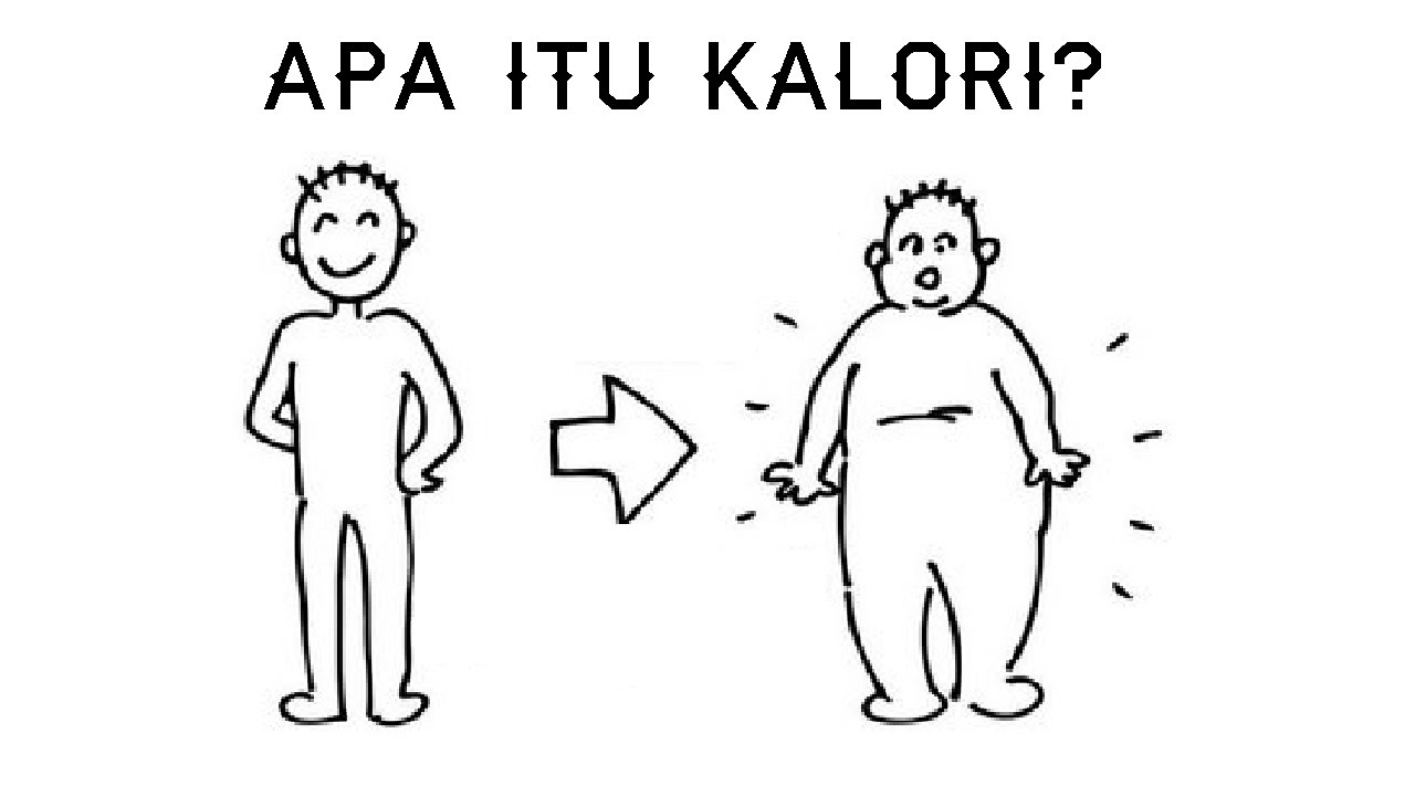 apa i