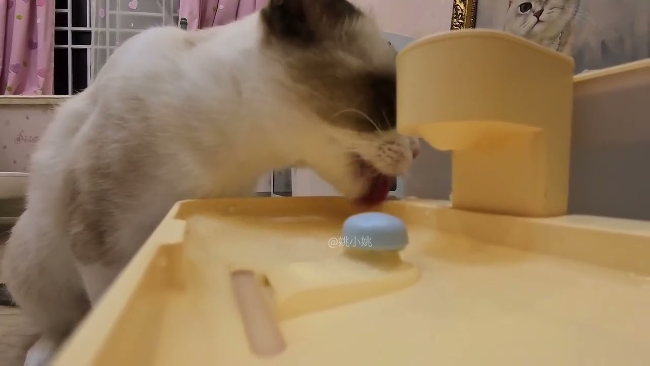 Cutest Baby Drinking Water Moments