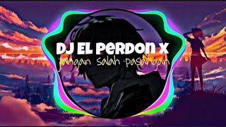 DJ terbaru 2023 | DJ EL Perdon x Jangan salah pasangan | DJ viral tiktok