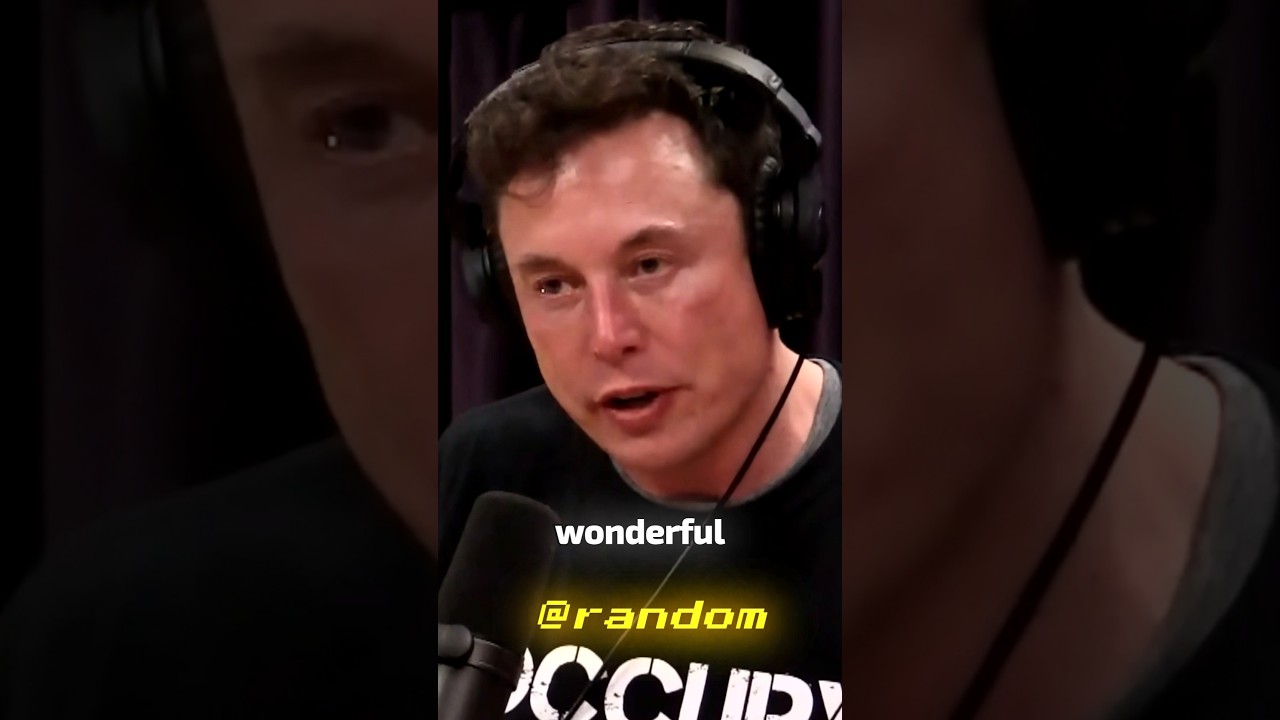 The Future humanity should strive for!! #jreclips #elonmusk #joerogan #shorts #future