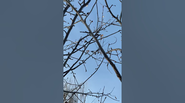 Крещение святое дело 💧