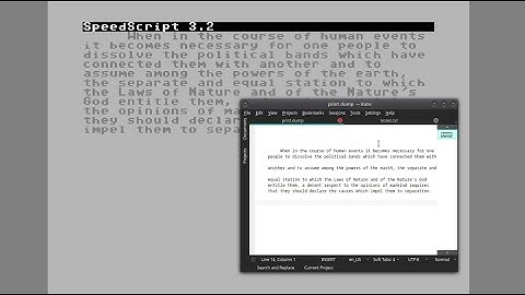 Print To Text File With C64 Speedscript and VICE