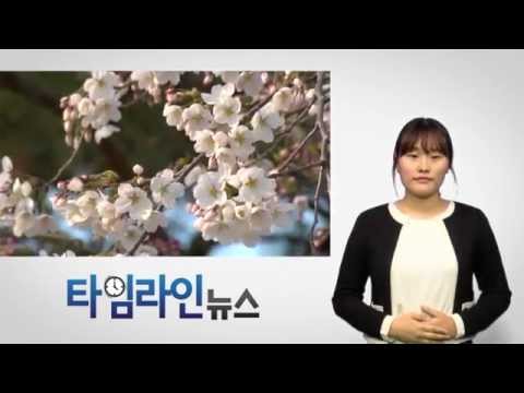 [수화] 인천광역시 4월 둘 째주, 타임라인뉴스