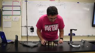 Mass vs  Weight Lab - Data Collection - Durfee Physics