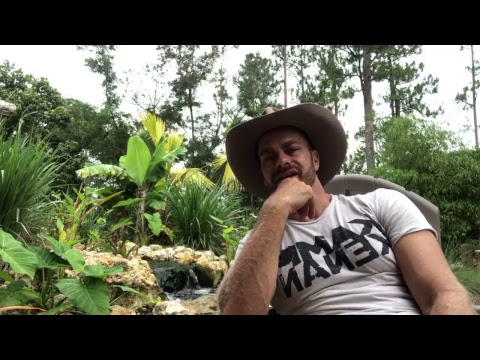 chinese box turtles New Baby Chinese BOX TURTLES Hatching + Q&A!