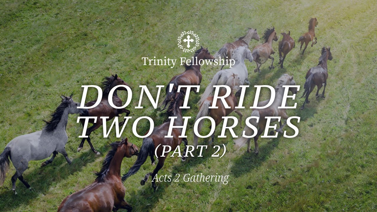 Don't ride two horses! Part 2 YouTube