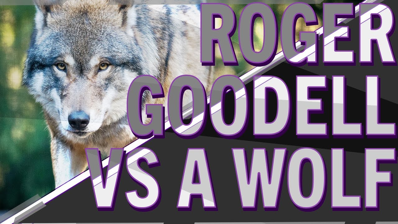 Arian Foster asks: Roger Goodell vs. A Wolf? | 