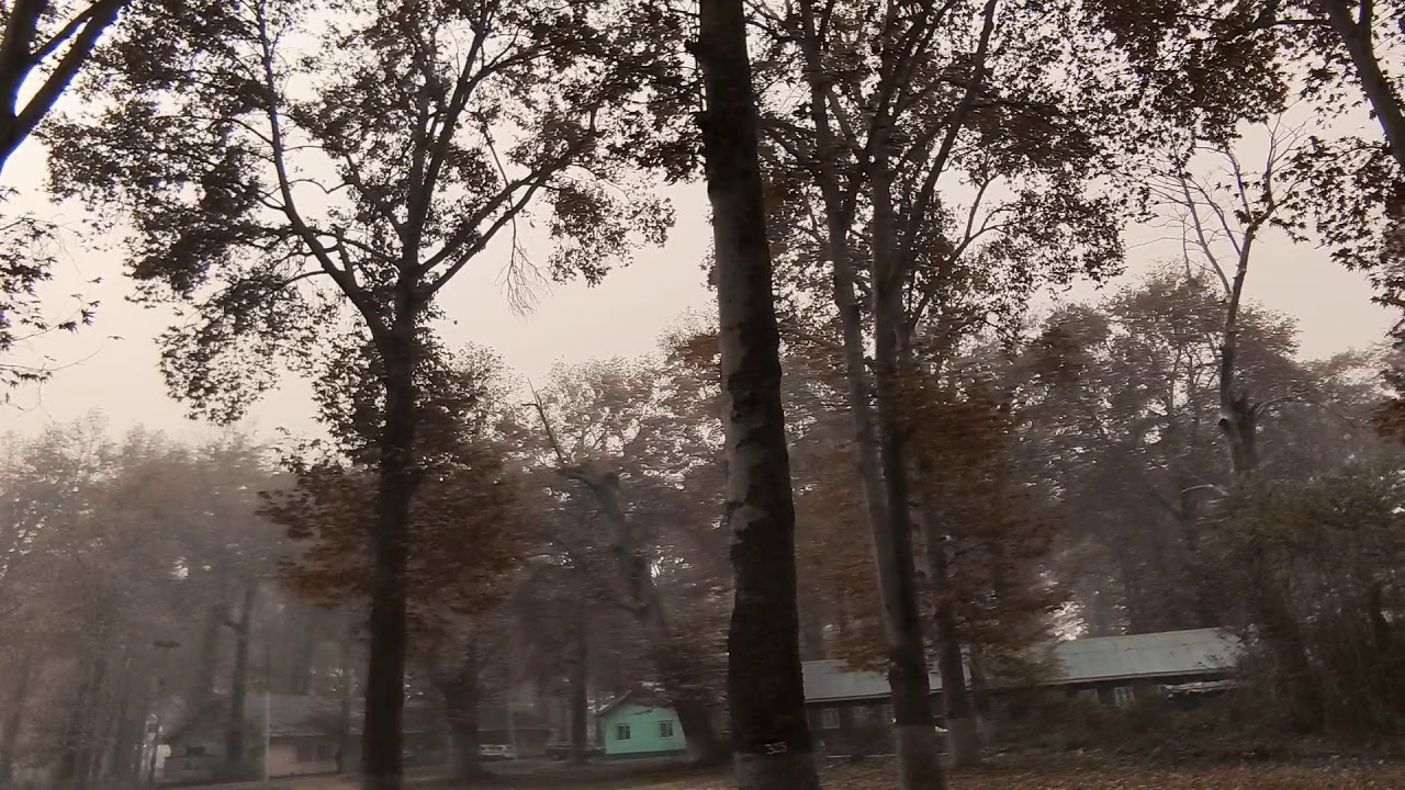 Naseem bagh kashmir university (During winter 2020)