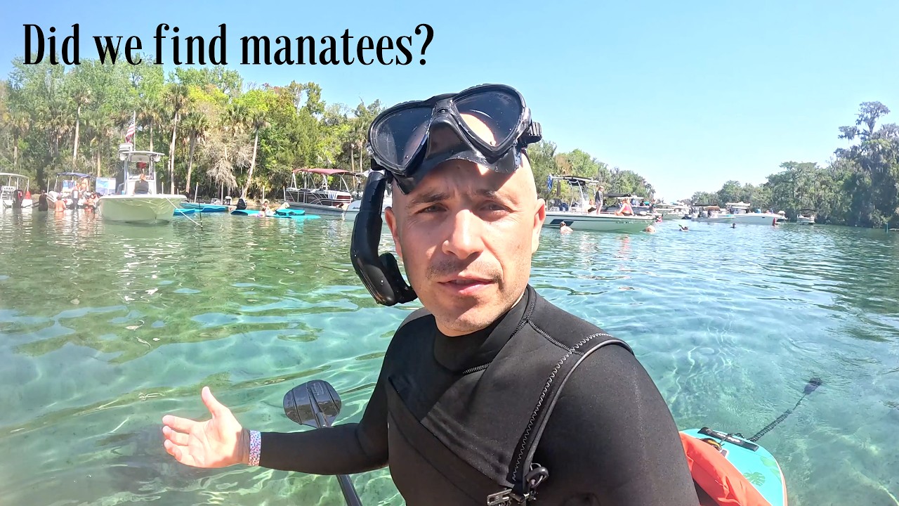 ⁣We Flew to Florida to Snorkel with Manatees - Here's What Happened