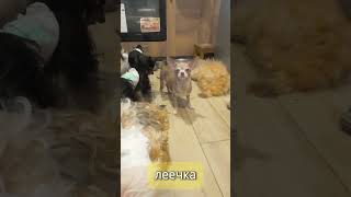 Не рожает = НА ВЫБРОС? Анонс!